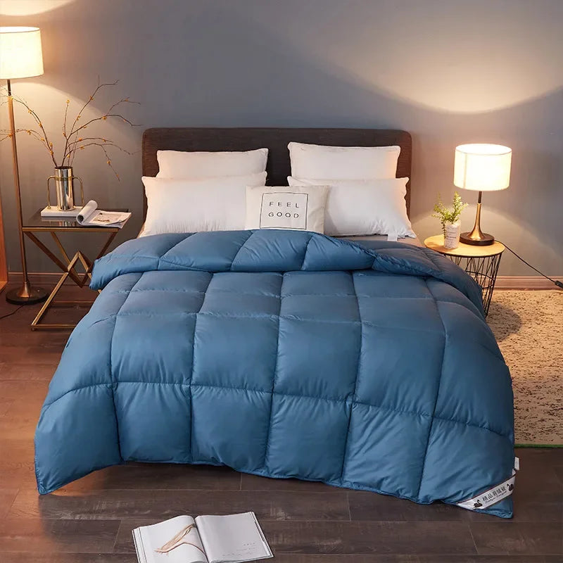 Couette en Duvet d'oie 95% Divers Bleu
