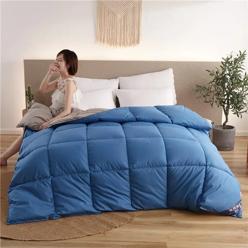 Couette en Duvet d'oie 95% Divers Bleu