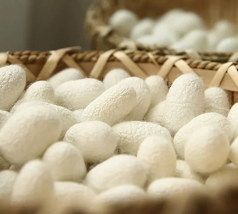 COCON DE SOIE NATURELLE