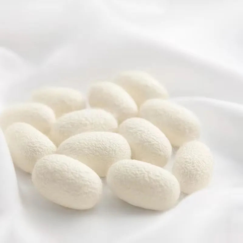 Couette en soie de Mûrier de 1,5kg et 5kg