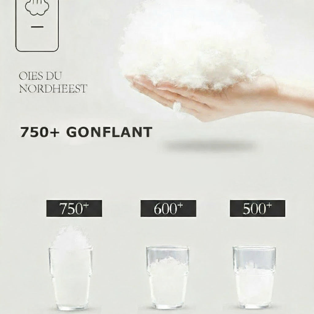 Duvet bleu en plumes d’oie offrant chaleur et légèreté