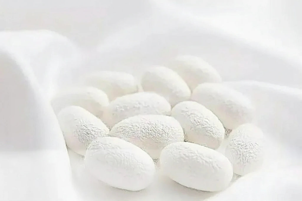 Taie d’oreiller en soie pure Essence et soie Cocon de soie de mûrier