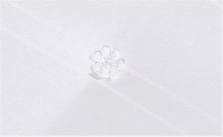 Gros plan sur la texture douce de la soie de mûrier naturelle BLANC